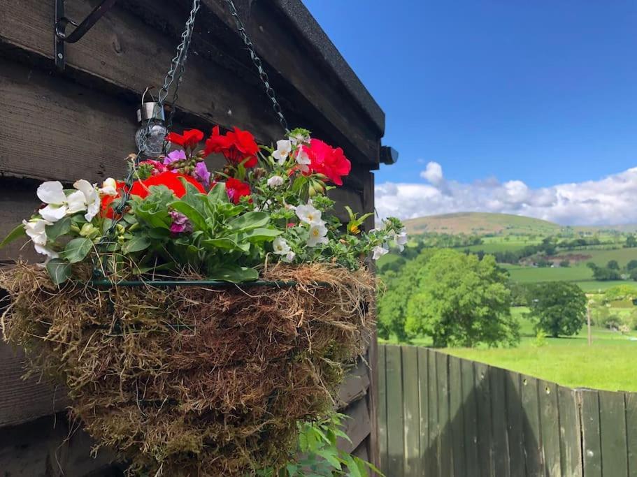 The Retreat Villa Llanrhaeadr-ym-Mochnant Екстериор снимка